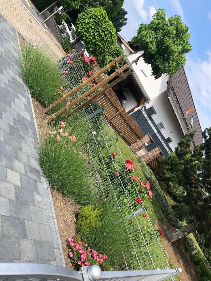 Ferienhaus Gluecksmoment Blankenburg  Kültér fotó